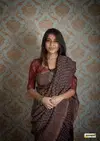 Df Madhu Bala Jari Patti Digital Printed Sarees Catalog